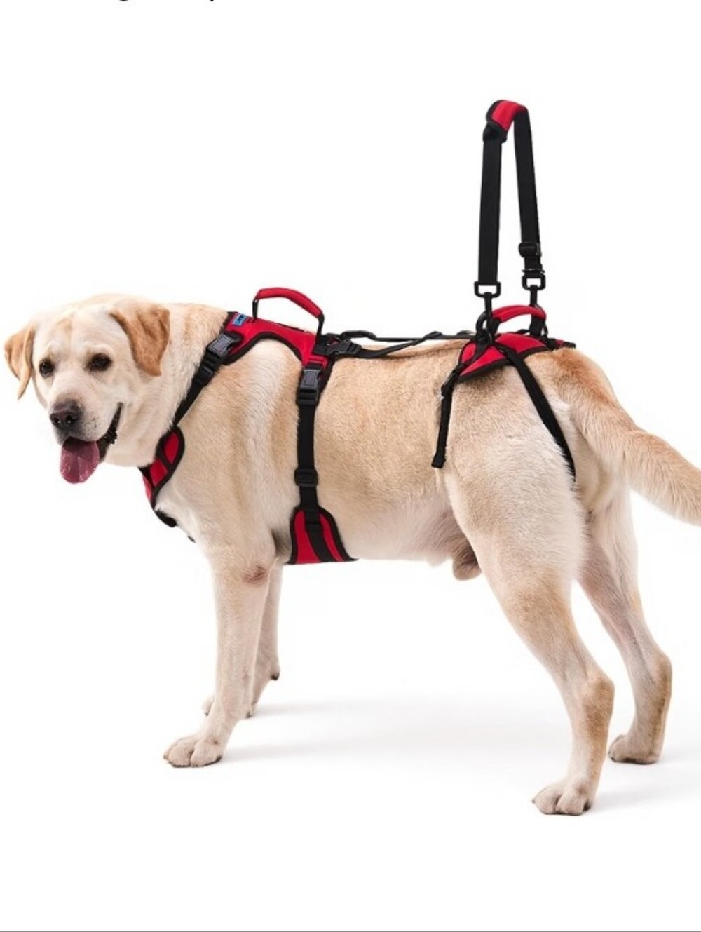 Dog Lift Harness for Extra Large Dogs, Heavy Dog Lifting Support Harness Size:XL